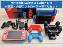 Nintendo Switch&Switch Lite コントローラ他フルセット