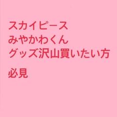 スカイピース みやかわくん グッズ まとめ売り - メルカリ