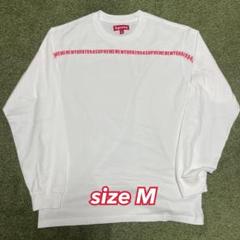 Supreme ストライプ 長袖カットソー M シュプリーム Supreme - シュプリーム 19AW Flags L/S Top ボーダーフラッグ