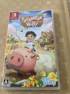 Switch Everdream Valley