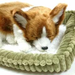 Originals Archives - Perfect Petzzz