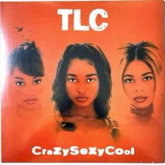 TLC レコード TLC / Waterfalls(12inch) / LaFace 1995 USオリジナル盤 EX-/EX