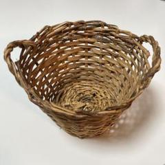 ネズの木　ジュニパー のカゴ