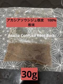 2025年最新】acacia confusaの人気アイテム - メルカリ