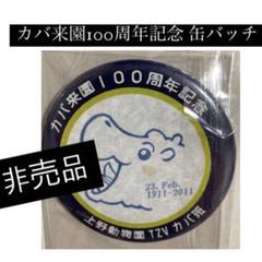 激☆レア♪上野動物園・パンダ・40周年記念・非売品、缶バッチ♪