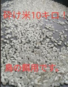 砕米　24kg 亀泉 純米吟醸原酒 CEL-24 土佐うらら 1.8L
