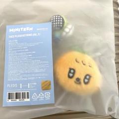 Seventeen セブチ 韓国 ポップアップ プラッシュキーリング