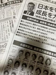 令和6年衆議院選挙公報&最高裁国民審査公報　希望の方に都知事選のフライヤー付録