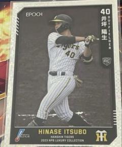 井坪陽生 阪神タイガース