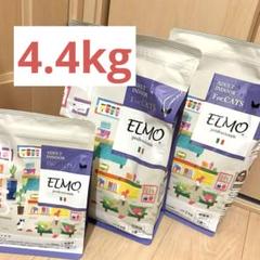 2025年最新】エルモ elmo キャットフードの人気アイテム - メルカリ