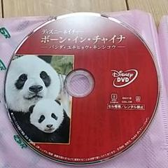 ディズニーネイチャー ボーン・イン・チャイナDVD