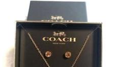 【新品未使用!】COACH コーチ 2025 福袋 ピアス COACH - COACH コーチ ピアス 新品 未使用 福袋の通販 by ゆきこ