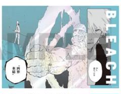 BLEACH ブリーチ 日番谷冬獅郎 メタリックポスター ランドマーク BLEACH_描き下ろし日番谷冬獅郎 B2タペストリー | 公式グッズ