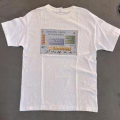 90s~00s 化学式 元素記号 tシャツ delta ボディ usa