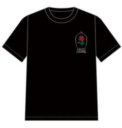 限定セール -SALE 2025年最新】Candy tune メルカリ - tシャツの人気アイテム アイドル