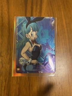 SDV5-LPUR1ブルマ