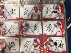2016日本女子プロ野球リーグオフィシャルカード