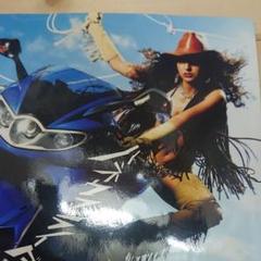 ポルノグラフィティハネウマライダータオル