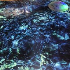 青葉市子Luminescent Creatures deluxe盤 レコード