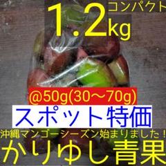 2025年最新】摘果マンゴーの人気アイテム - メルカリ