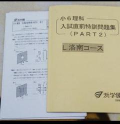 浜学園 小6 理科 入試直前特訓