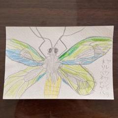 蝶の羽根で描かれた絵画