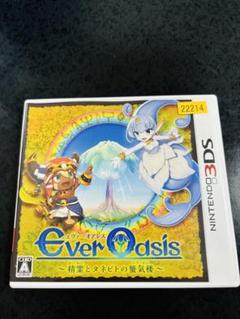 ニンテンドー3DS　Ever Oasis 精霊とタネビトの蜃気楼