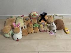 カピバラさん ぬいぐるみ まとめ売り【13点】 - メルカリ