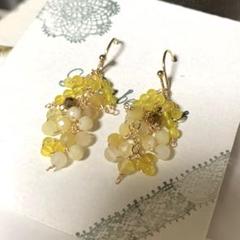 14kgf 春待ちのミモザピアス