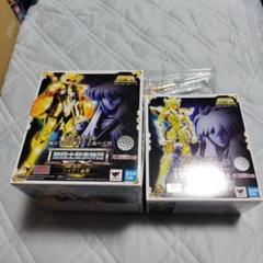 聖闘士聖衣神話EXアクエリアス氷河＆ライブラ紫龍. - メルカリ