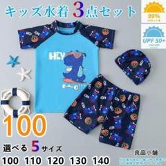 水着 男の子 キッズ水着 恐竜柄 セパレート 子供用 日焼け防止 3点セットgt