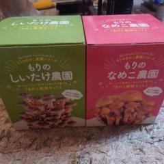 なめこ セット売り 2025年最新】なめこ栽培セットの人気アイテム - メルカリ