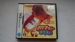 【DS】 パワプロクンポケット 13
