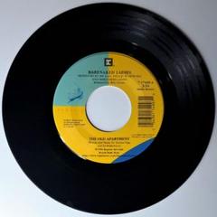 Barenaked Ladies　The Old Apartment　レコード