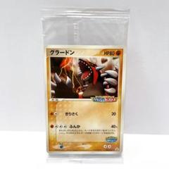 ポケモンカード 未開封 グラードン ポケパーク クラッシュカーバトル プロモ