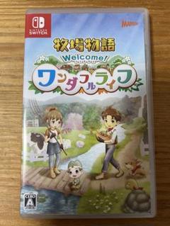 Nintendo Switch 牧場物語 ワンダフルライフ