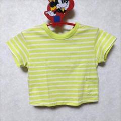 BREEZE　半袖Tシャツ　 90cm