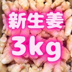 新物　新生姜　安いよ　002 新物 新生姜 安いよ 638 - メルカリ