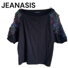 ジーナシス　花柄　カットワーク刺繍　半袖　 Tシャツ 黒　フリー　トップス