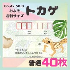 【トカゲ】宛名シール　差出人シール　普通サイズ　40枚　シンプル　動物　爬虫類