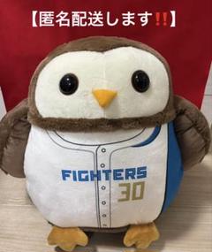 エスコン限定ファイターズ選手くじ【特賞】 #30郡司 エスコン限定ファイターズ選手くじ【特賞】 #30郡司 - メルカリ