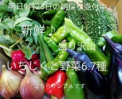 野菜セット いちじく ゴーヤ なす オクラ等