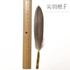 盆石道具 尖羽根 (A) 盆石道具 尖羽根 (C)