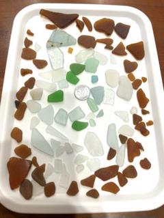 シーグラス　※白のトレイは撮影用です。