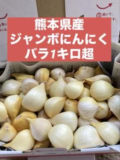 ジャンボにんにく.バラ.5kg 愛知県産ジャンボにんにく☆バラ箱込み5キロ農薬不使用