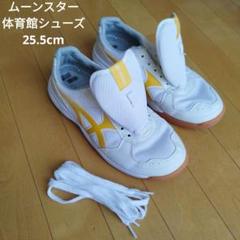 アシックス バレーボールジュース 25.0cm 2025年最新】ムーンスター 体育館シューズの人気アイテム - メルカリ