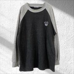 ARNOVA トレーナー スウェット ラグランスリーブ ワンポイント 裏起毛