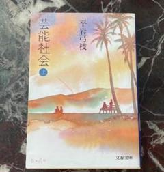芸能社会 上 平岩弓枝 文春文庫