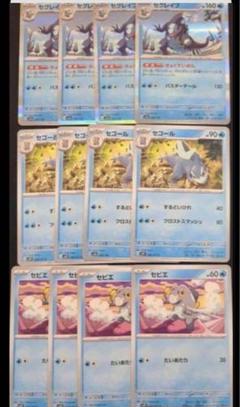 セビエ セゴール セグレイブ 進化ラインAR 12枚セット まとめ売り 早割シーズン券 セグレイブ セゴール セビエ 進化ラインAR