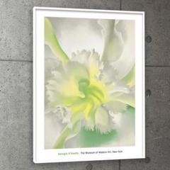 額装品/An Orchid（ジョージア オキーフ）GeorgiaO'Keeffe